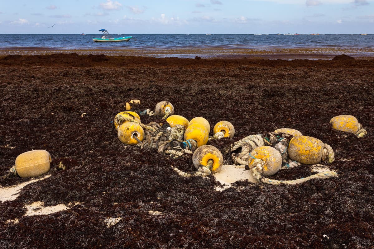 Biodiversité